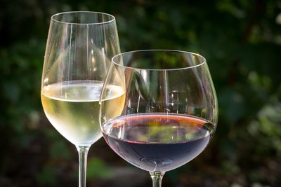 Red vs White Wine Glasses: Differences, Types of Glasses