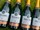 Blanc de Blanc - View 6